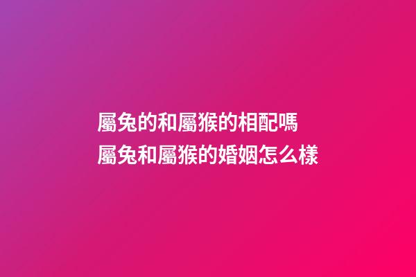 屬兔的和屬猴的相配嗎 屬兔和屬猴的婚姻怎么樣-第1張-觀點-玄機派